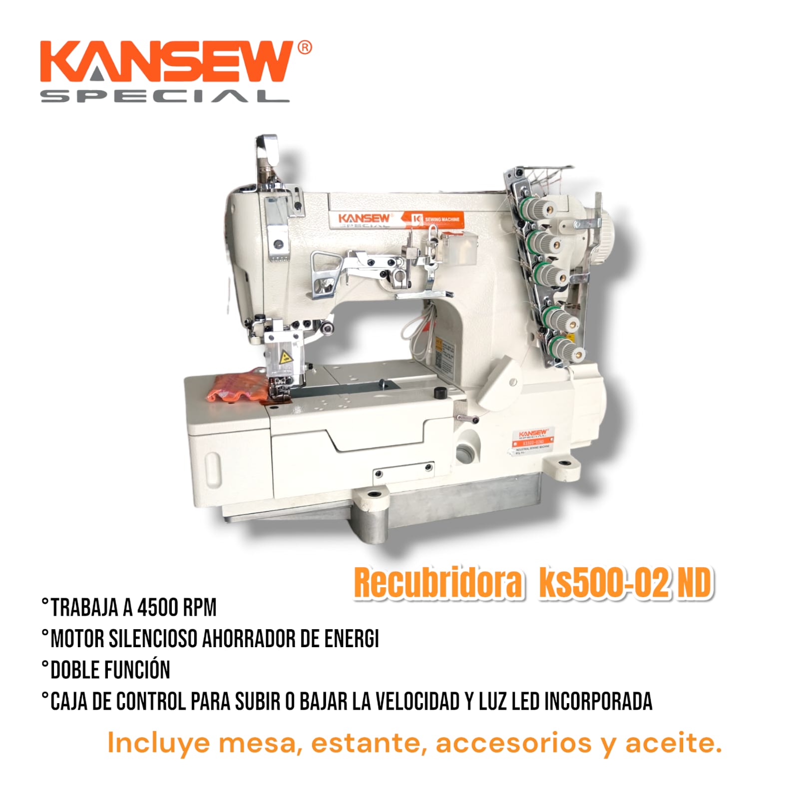 Producto 6